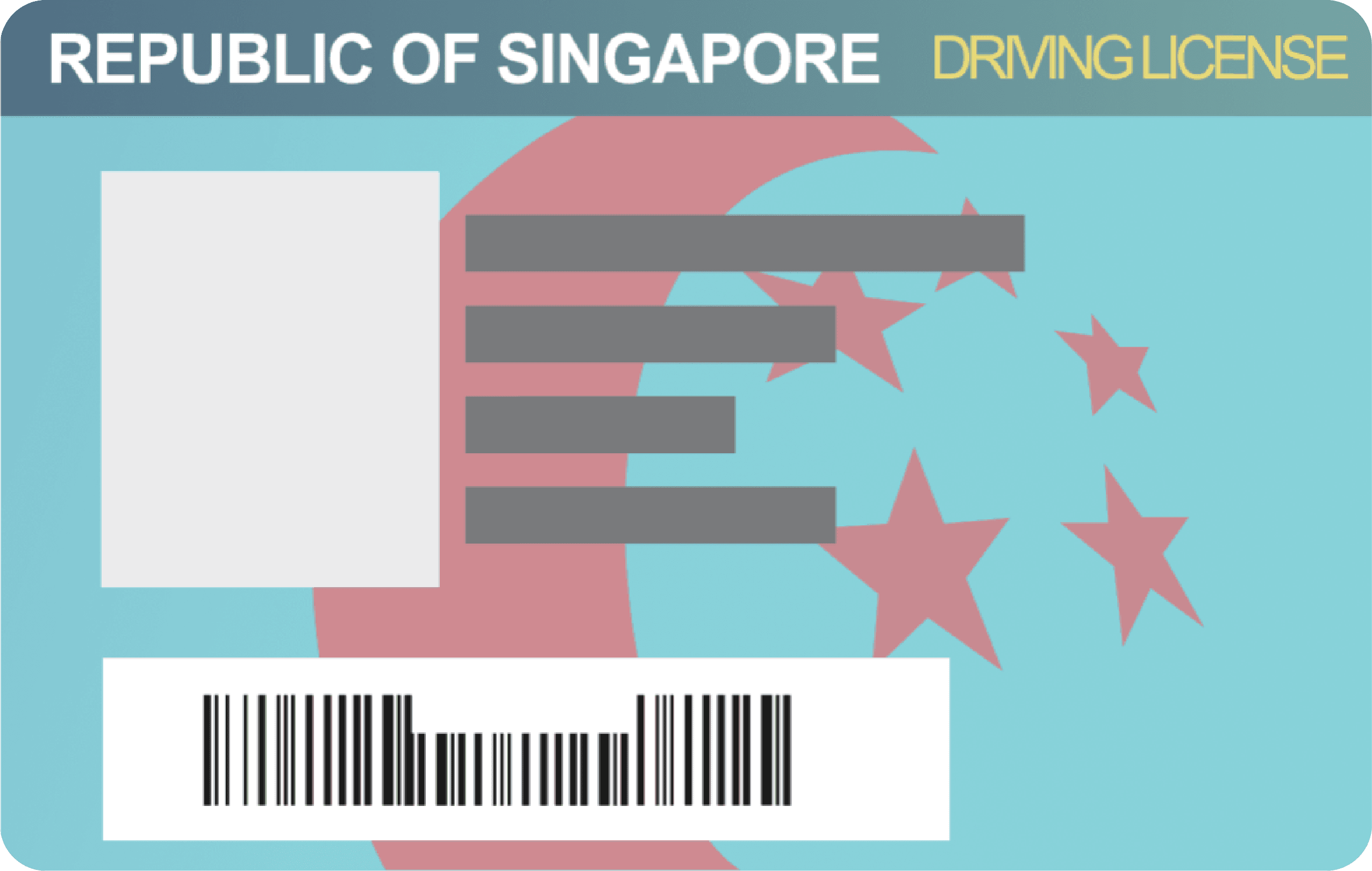 Driving License